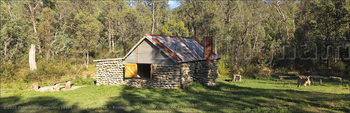 Peter Bellingham Photography Dr. Forbes Hut - Koscuiszko NP - NSW (PBH4 00 12700)